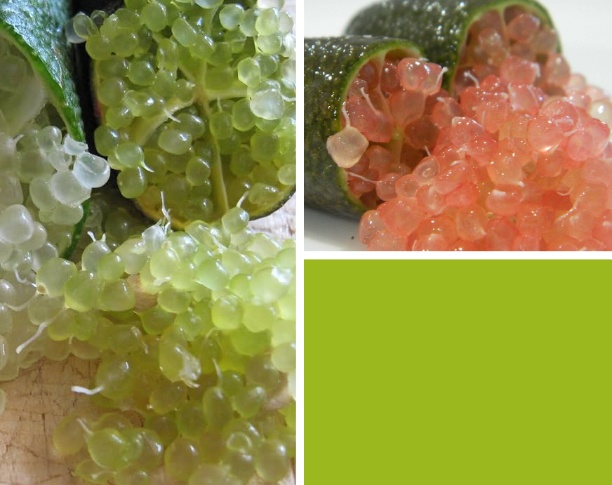 c1